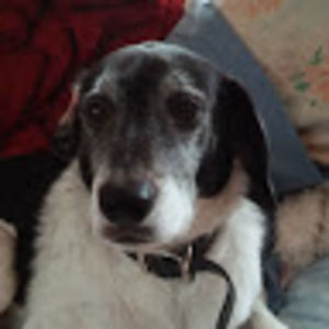 Meet your Posher, Mr.